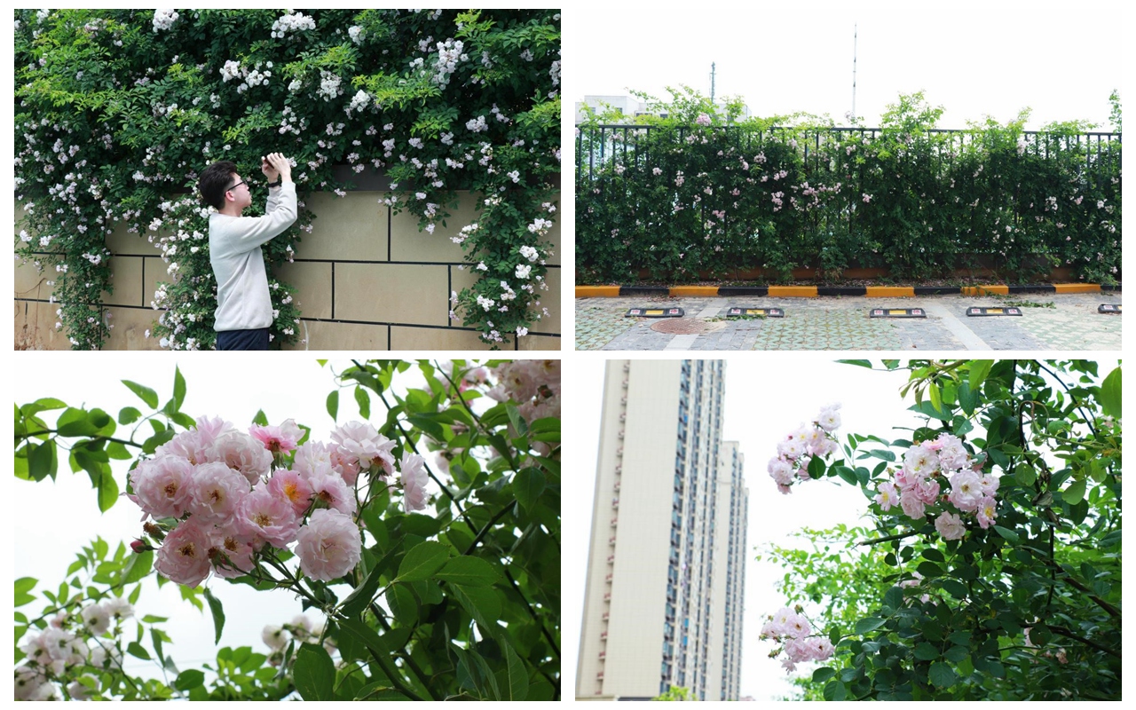 3868la银河总站(china)股份有限公司 - Make It Possible